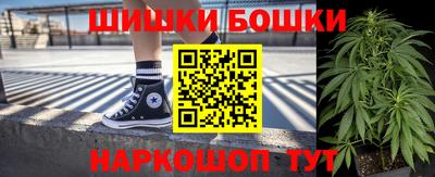 гашик Будённовск