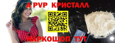гашик Будённовск