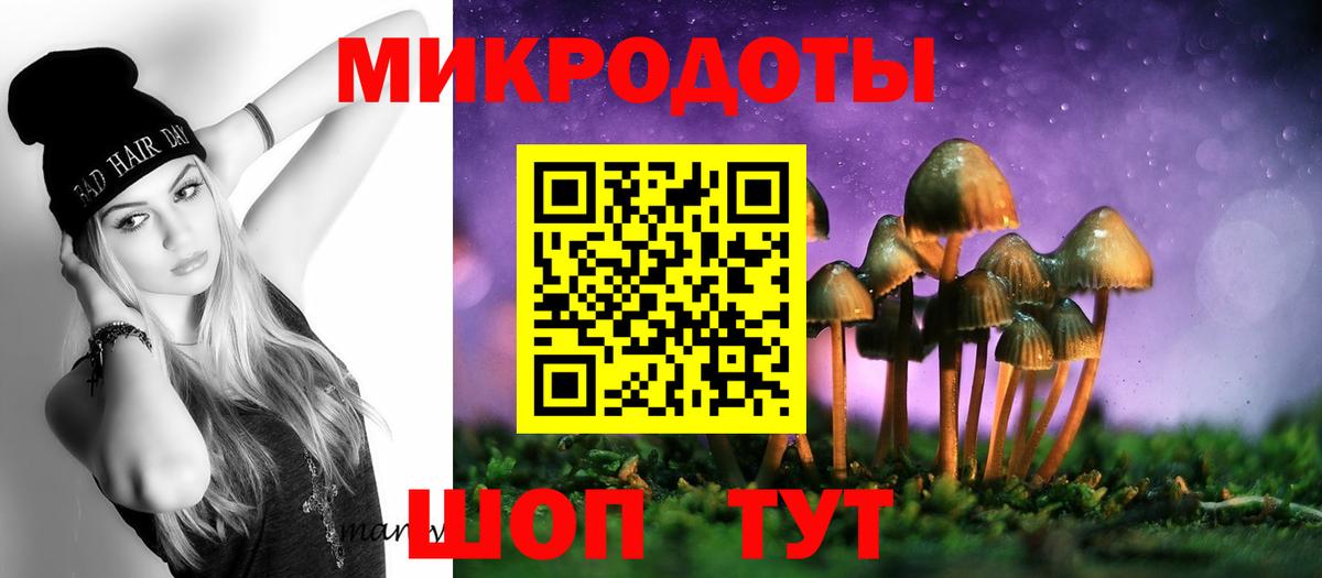 Галлюциногенные грибы прущие грибы Лабинск