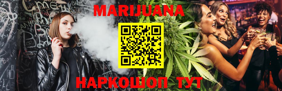 Конопля сатива  Конопля семена  Лабинск  Вход с VPN  Канабис план 